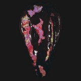 Brownling 1992
23 1/4 13 x 1 5/8 inches