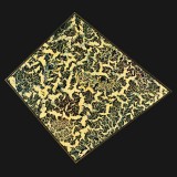 Diamond Nugget 1982
57 x 64 inches