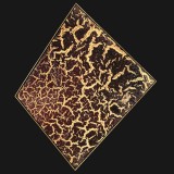 Damson One 1982
72 x 61 1/2 inches
Collection: 21st Century Masterworks of Art, New York–Paris–Geneva