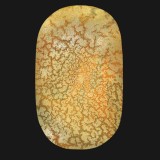 Lacy 1984
98 x 59 inches
Collection: Museum of Fine Arts Boston, Hines Collection, USA