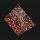 Barbizon 1982
75 1/2 x 79 inches