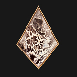 Staple Black 1982
26 1/2 x 24 inches inches