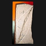 Indian Pearl, 2013 Acrylic on Canvas, 76 3/4 x 38 1/4 x 1 inches