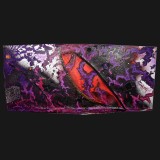 Chinese Cricket, 2008-2012 Acrylic on Canvas, 56 x 121 x 1 1/2 inches