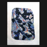 Pamukkali Suite, Plate Three #7, 2010
Mono Linoleum Print on Rag paper
39