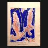 Pamukkali Suite, Plate Four #1, 2010
Mono Linoleum Print on Rag paper
39