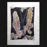 Pamukkali Suite, Plate Four #4, 2010
Mono Linoleum Print on Rag paper
39